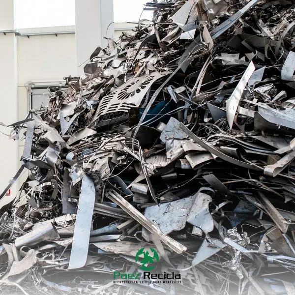 Páez Recicla S.L.