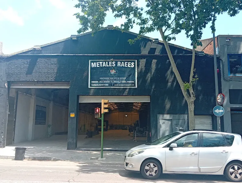 METALES RAEES