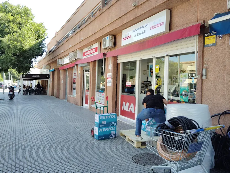 Maferauto Recambios Del Automóvil
