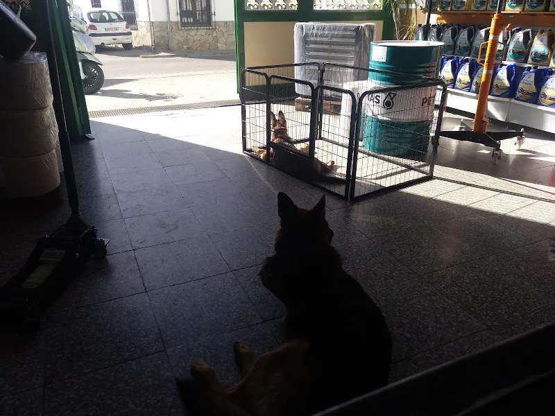 Recambios Tecnisur Motril - Motril