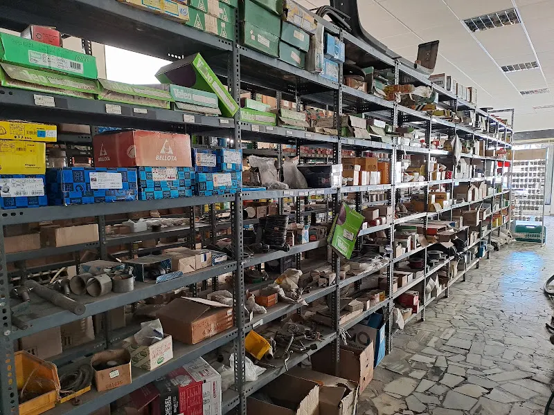 Auto Recambios Cuevas S L - Tienda de repuestos para automóviles en Cuevas del Almanzora - foto 2