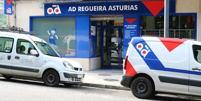 AD Regueira Asturias - Cangas del Narcea - Cangas del Narcea
