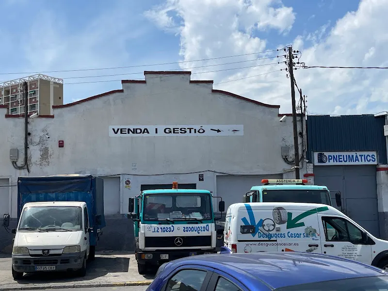 Desguaces Cesar S.L. - Centro comercial en Sant Adrià de Besòs - foto 3