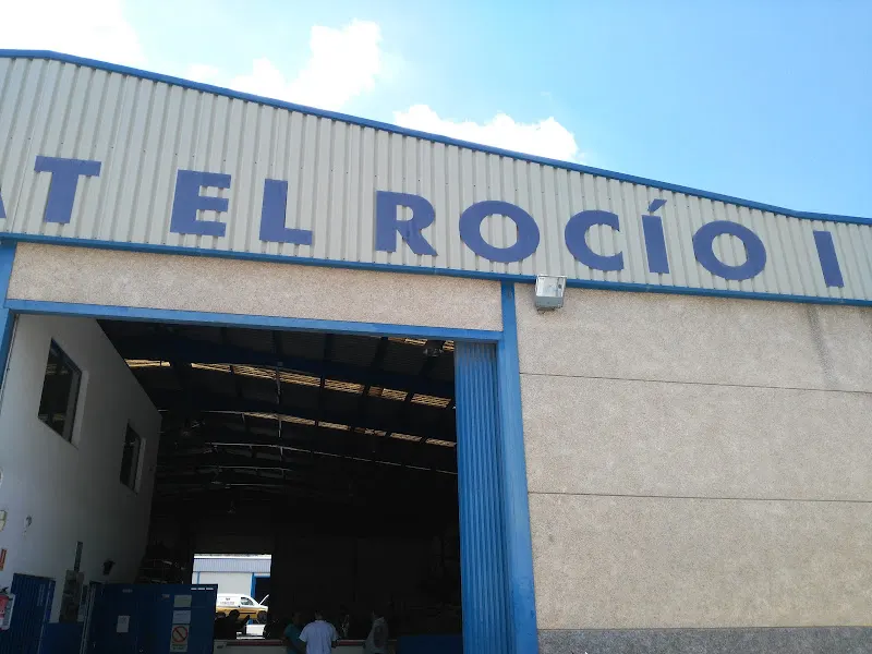 Desguace El Rocío II - Tienda de repuestos de automóviles usados en Jerez de la Frontera - foto 2