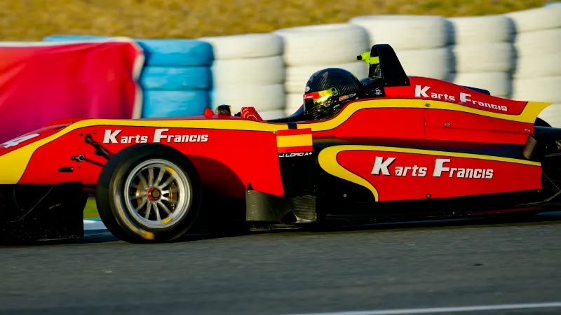 Karts Francis-Repuestos Karting - Daimiel