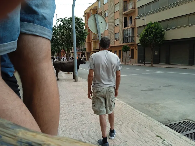 RECUPERACIONES DE CHATARRAS Y METALES REQUENA - Requena