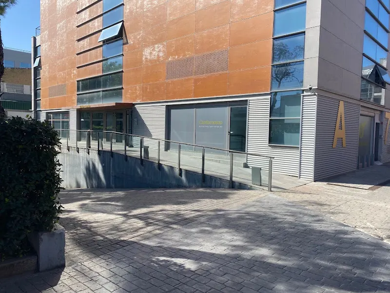 Azeler Automocion SA - Tienda de automovilismo en Cádiz - foto 2