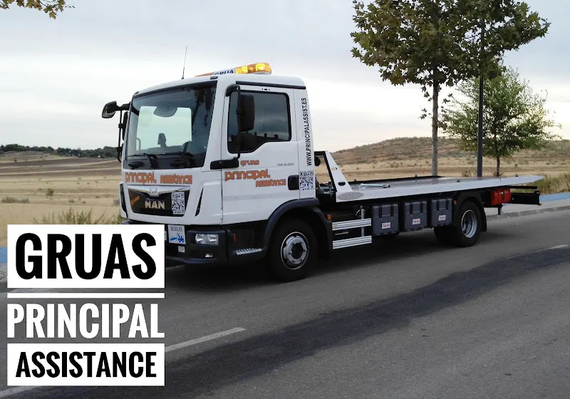 GRUAS PRINCIPAL ASSISTANCE - Empresa de transporte por camión en Cádiz - foto 2