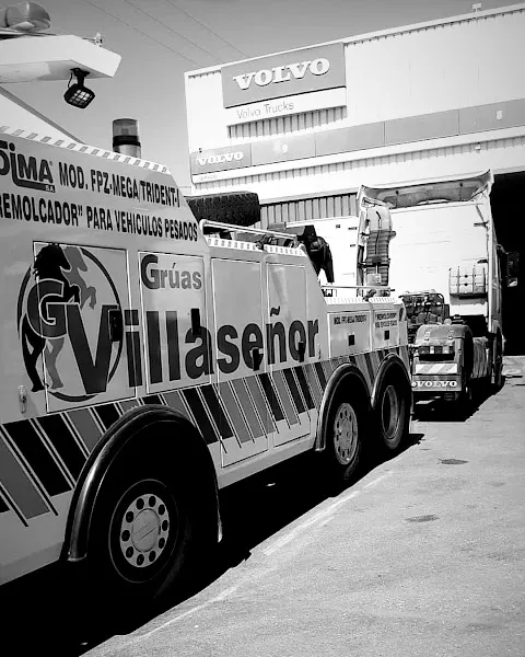 Desguace y Grúas Villaseñor