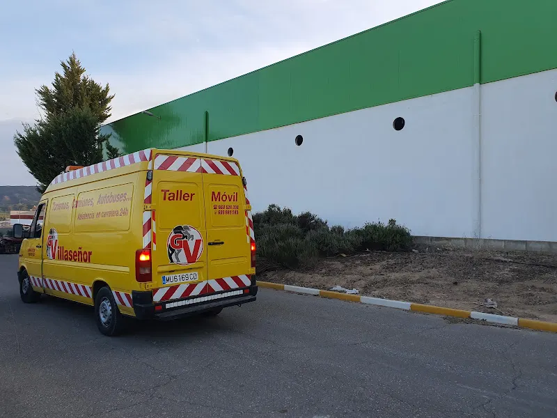 GRUAS VILLASEÑOR - Murcia