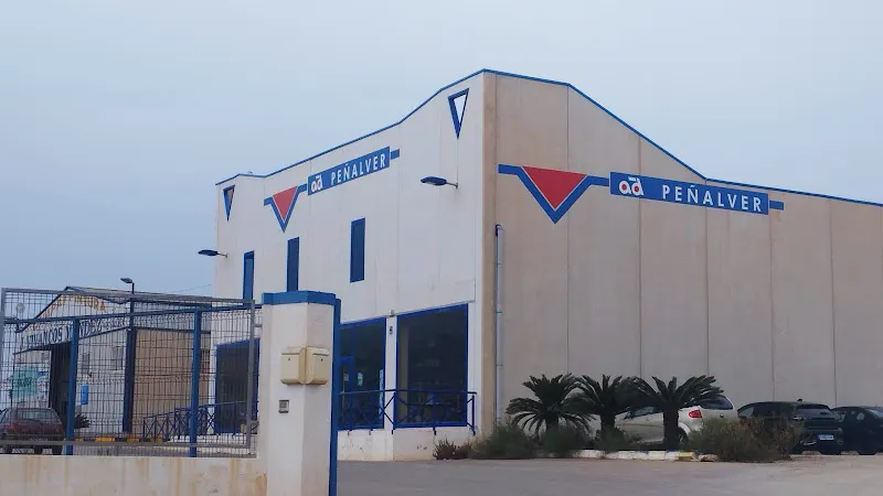 Auto Recambios Peñalver (Mazarrón) - Tienda de repuestos para automóviles en Mazarrón - foto 2
