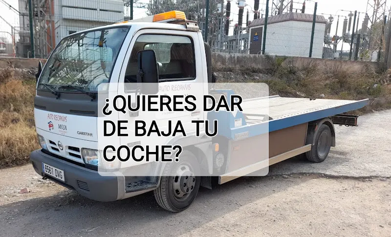 Auto Recanvis Moja (Recambios Mojar) - Desguace en Sant Pere de Ribes - foto 2