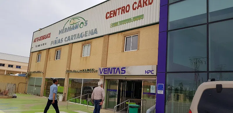 Hermanos Piñas Cartagena S.L. - Tienda de repuestos para automóviles en Cartagena - foto 2