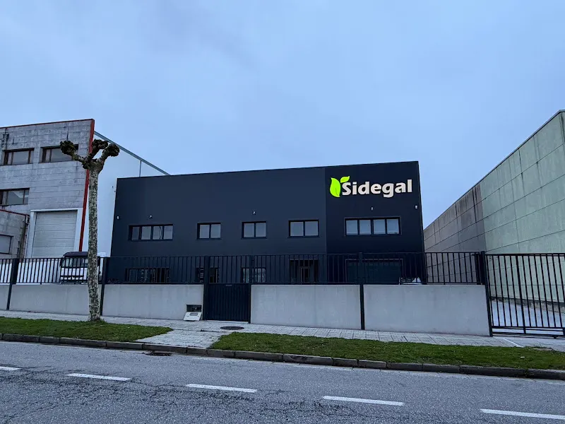 Sidegal - Lugo