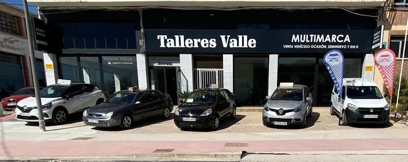 TALLERES FRANCISCO VALLE MURGA SA