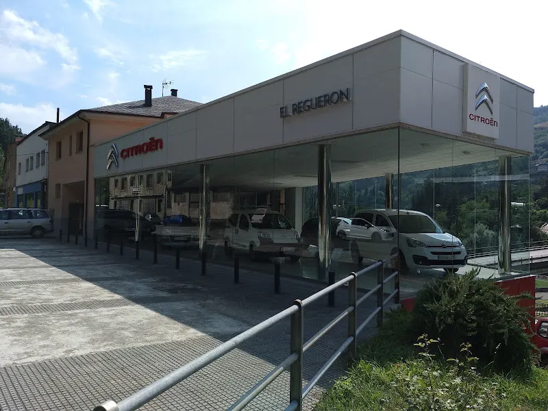 Automóviles El Reguerón S L - Concesionario de automóviles en Cangas del Narcea - foto 2
