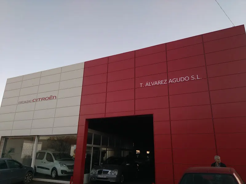 TALLERES ALVAREZ AGUDO, S.L. - Taller de reparación de automóviles en Jerez de los Caballeros - foto 2