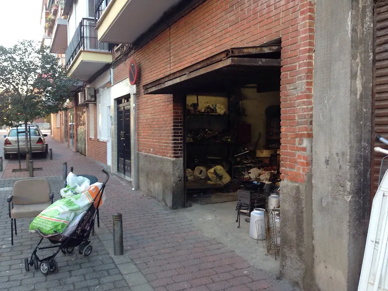 Recuperación Lucio Ortega - Madrid