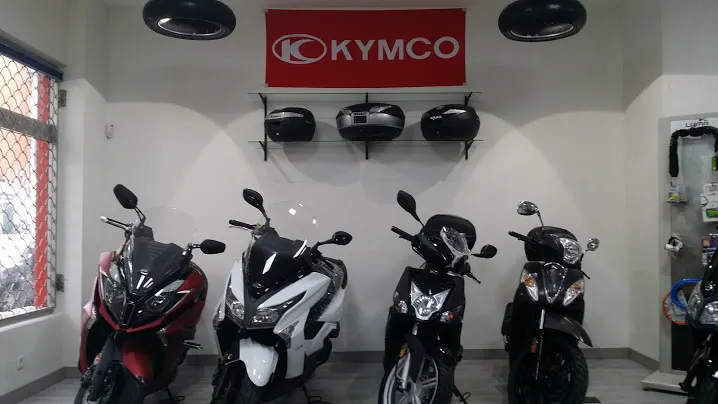 Moto a Punto