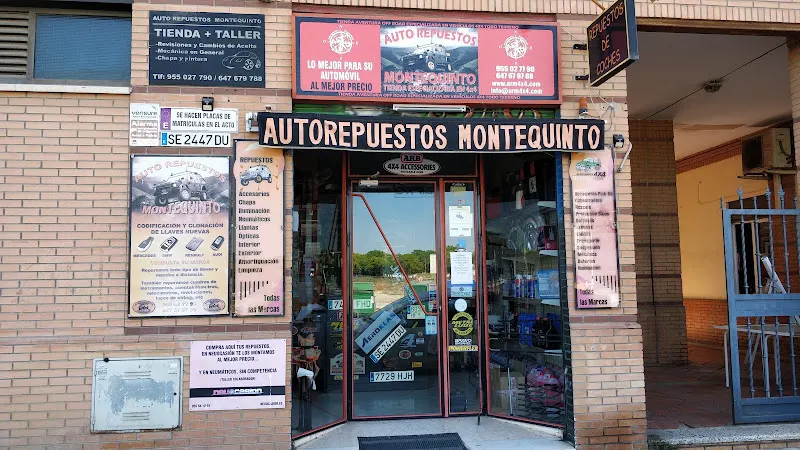 AUTOREPUESTOS MONTEQUINTO - ARM4X4 - Tienda de repuestos para automóviles en Dos Hermanas - foto 2