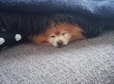 AF1QipMLqsGcR2kZvmMa7k6qWQzSK9IjIVmbIL6R7vW1=w1500-h1500-k-no