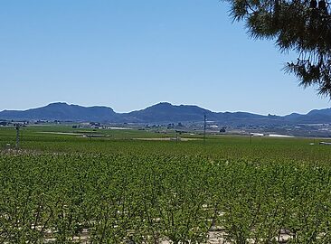 AF1QipMO-Gt_Ki0cpMeUwbIaLCREsNKTEpIYYV0arm4H=w1500-h1500-k-no