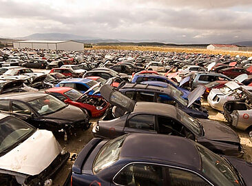 AF1QipN5bJF8bTTWIAA3N-T2U_ENut_fYWsb5uyCnSoA=w1500-h1500-k-no