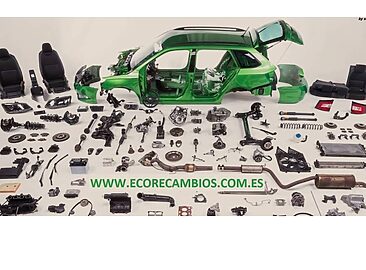 AF1QipNjcg6Kc9xLP6bzW9inikDhplF8sHPUypelCImG=w1500-h1500-k-no