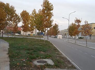 AF1QipORHSCULCaGrcd_Jf5oQf0kk8JQ4ZNOGvy2vkc=w1500-h1500-k-no