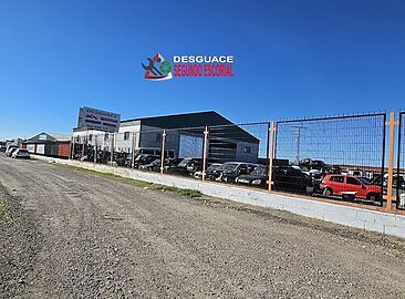 AF1QipOqrC63qF7eZP7h7erv-La0roMPCb6PukMA6gLZ=w1500-h1500-k-no