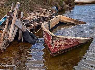 AF1QipOyfP8vJFp2ubwM--lQx4qQ7AUbO2mIZyUu83MK=w1500-h1500-k-no