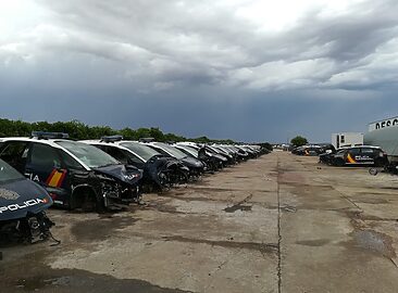 AF1QipP20DAqzld66wSkYzRibBsQuWMVUxi9EO-FrILN=w1500-h1500-k-no