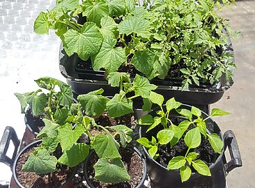 AF1QipPi0Xakbw0iykBtW8j5crT-De19H_avONvl-fw-=w1500-h1500-k-no